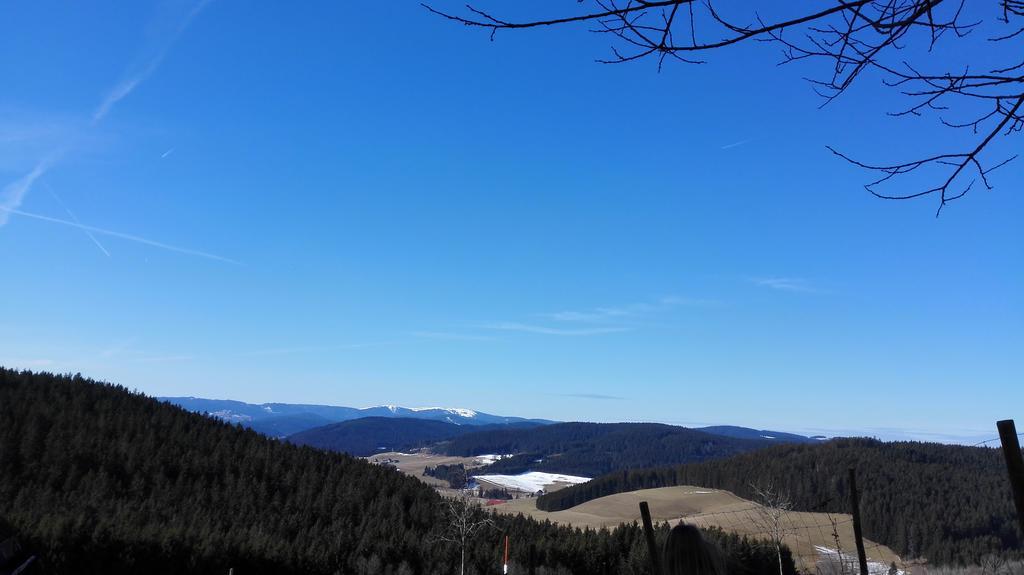 Pension Forsthaus Taele - Das Gaestehaus Vom Schwarzwaldgasthaus Salenhof Титизее-Нойщат Екстериор снимка