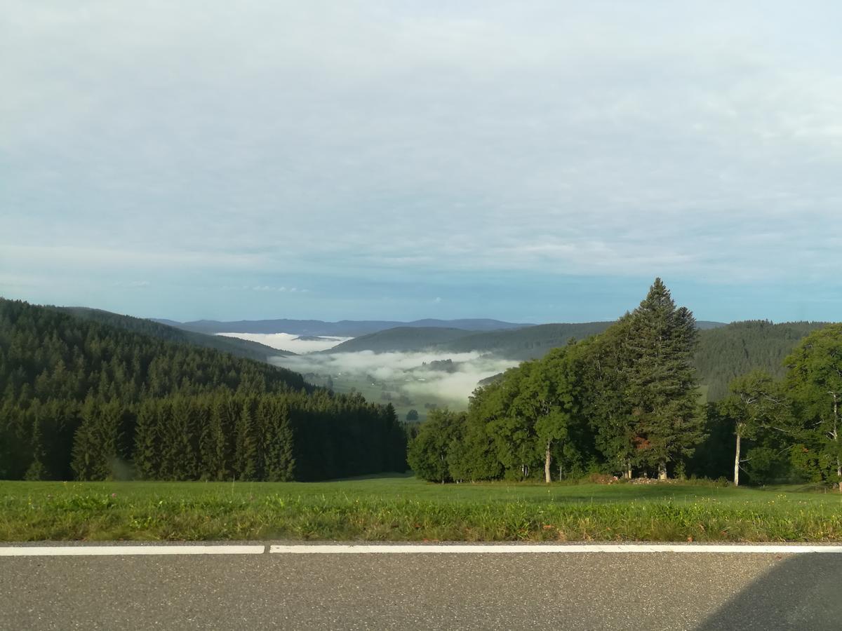 Pension Forsthaus Taele - Das Gaestehaus Vom Schwarzwaldgasthaus Salenhof Титизее-Нойщат Екстериор снимка