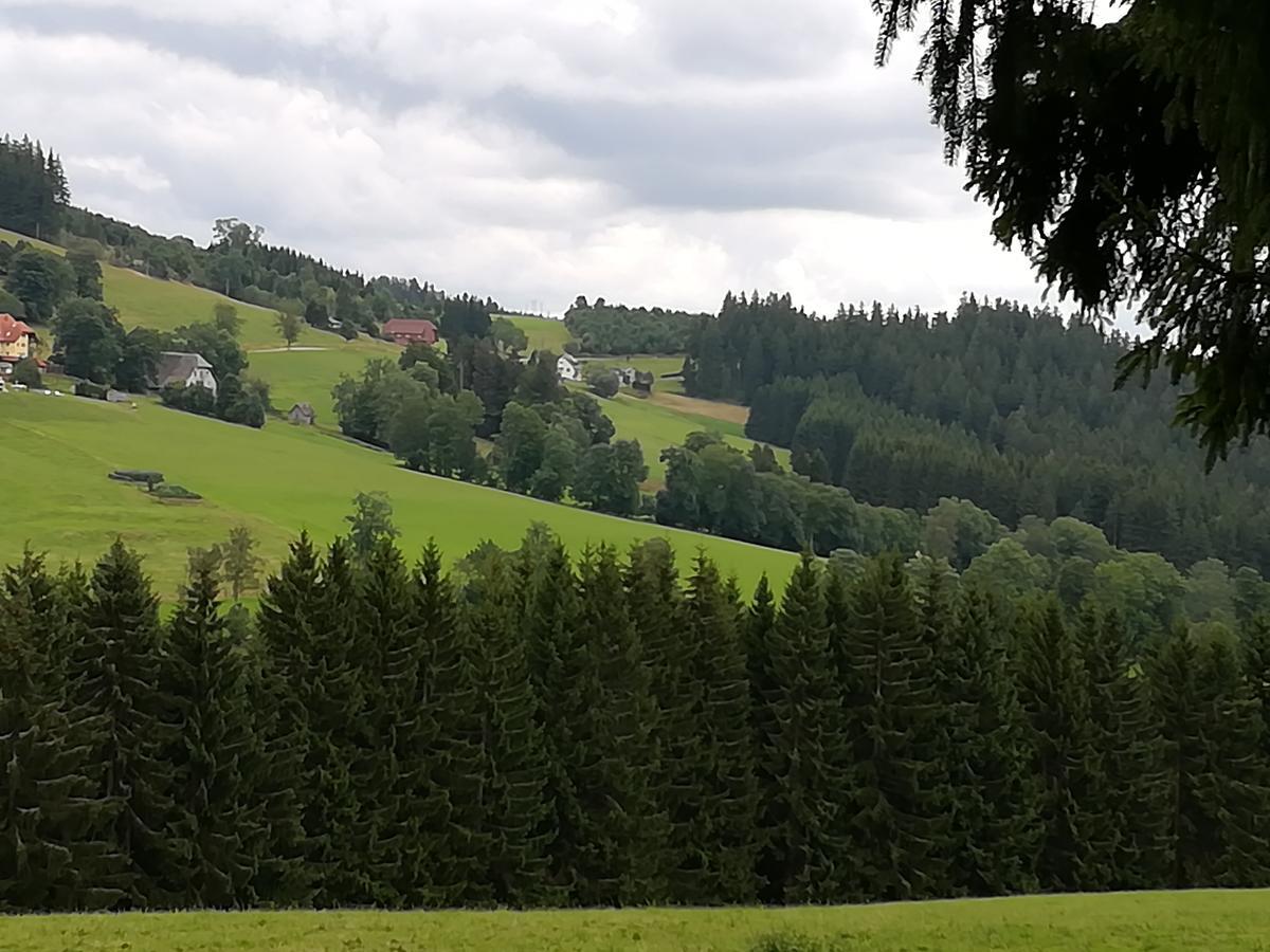 Pension Forsthaus Taele - Das Gaestehaus Vom Schwarzwaldgasthaus Salenhof Титизее-Нойщат Екстериор снимка