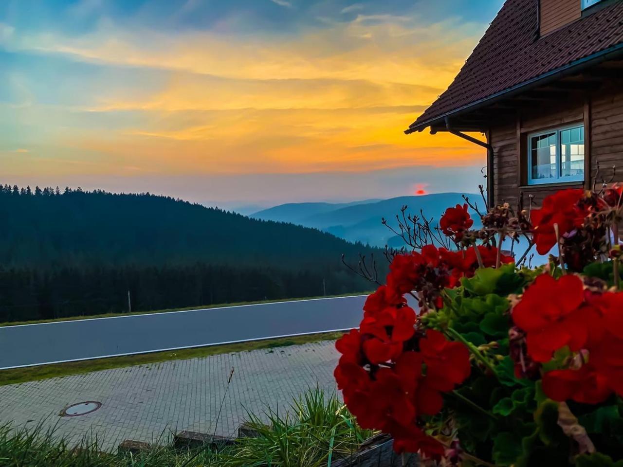 Pension Forsthaus Taele - Das Gaestehaus Vom Schwarzwaldgasthaus Salenhof Титизее-Нойщат Екстериор снимка
